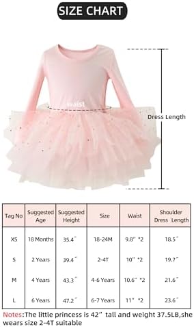 Toddler Girls Dance Tutu Dress
